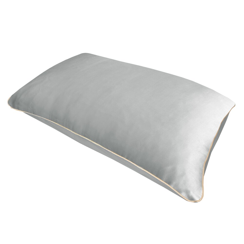 HOLISTIC SILK PURE SILK ANTI AGING PILLOWCASE SILVER - SEIDENKOPFKISSENHÜLLE