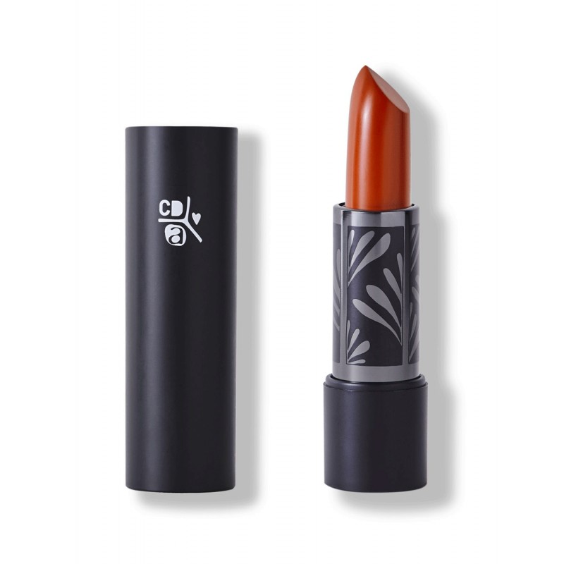 ABSOLUTION LIPSTICK LE SORBET 14 BRUN DE MARS